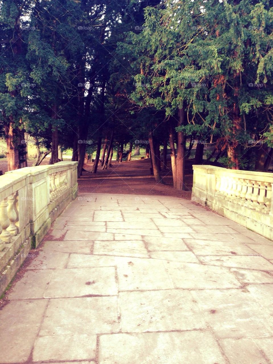 A walkway to nature