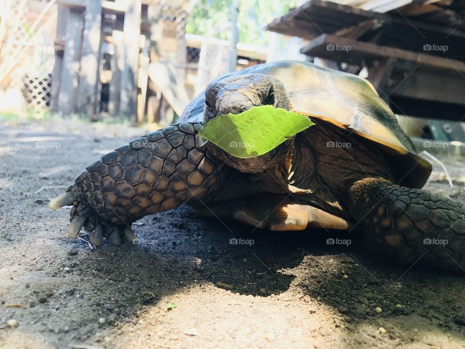 I'm hungry I can't hide it 