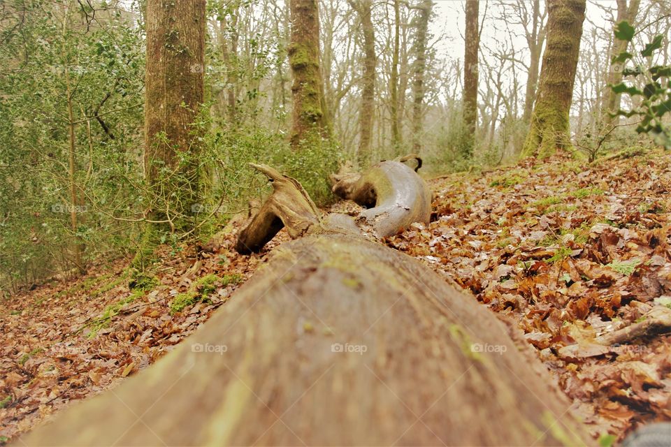 Bench for a cuppa