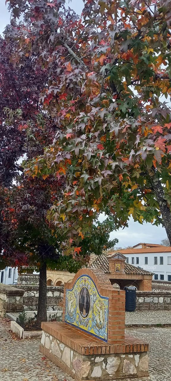Banco de azulejos pintados a mano bajo el árbol