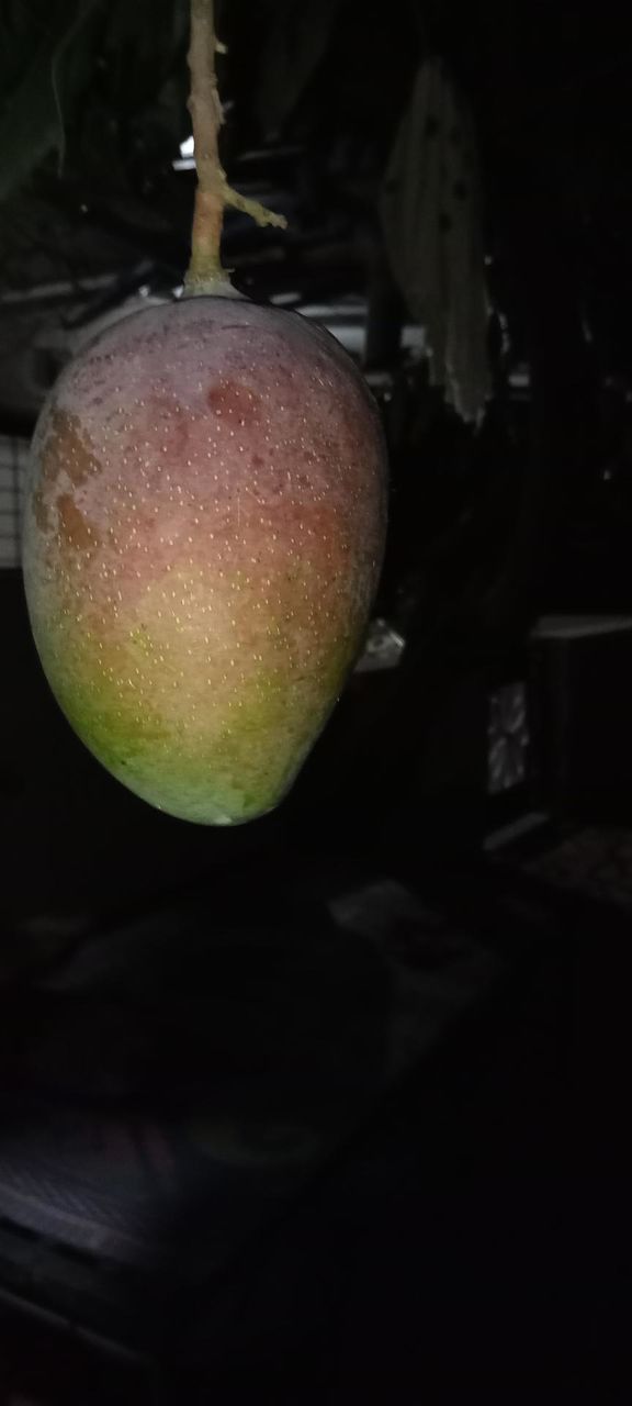 seasonal fruit, king of fruits - mango 🥭