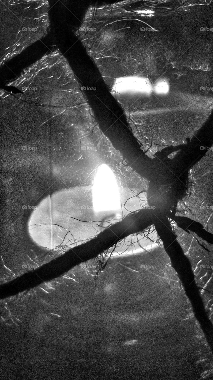 Candle in Black and White