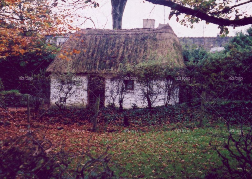 Irish Country Hut