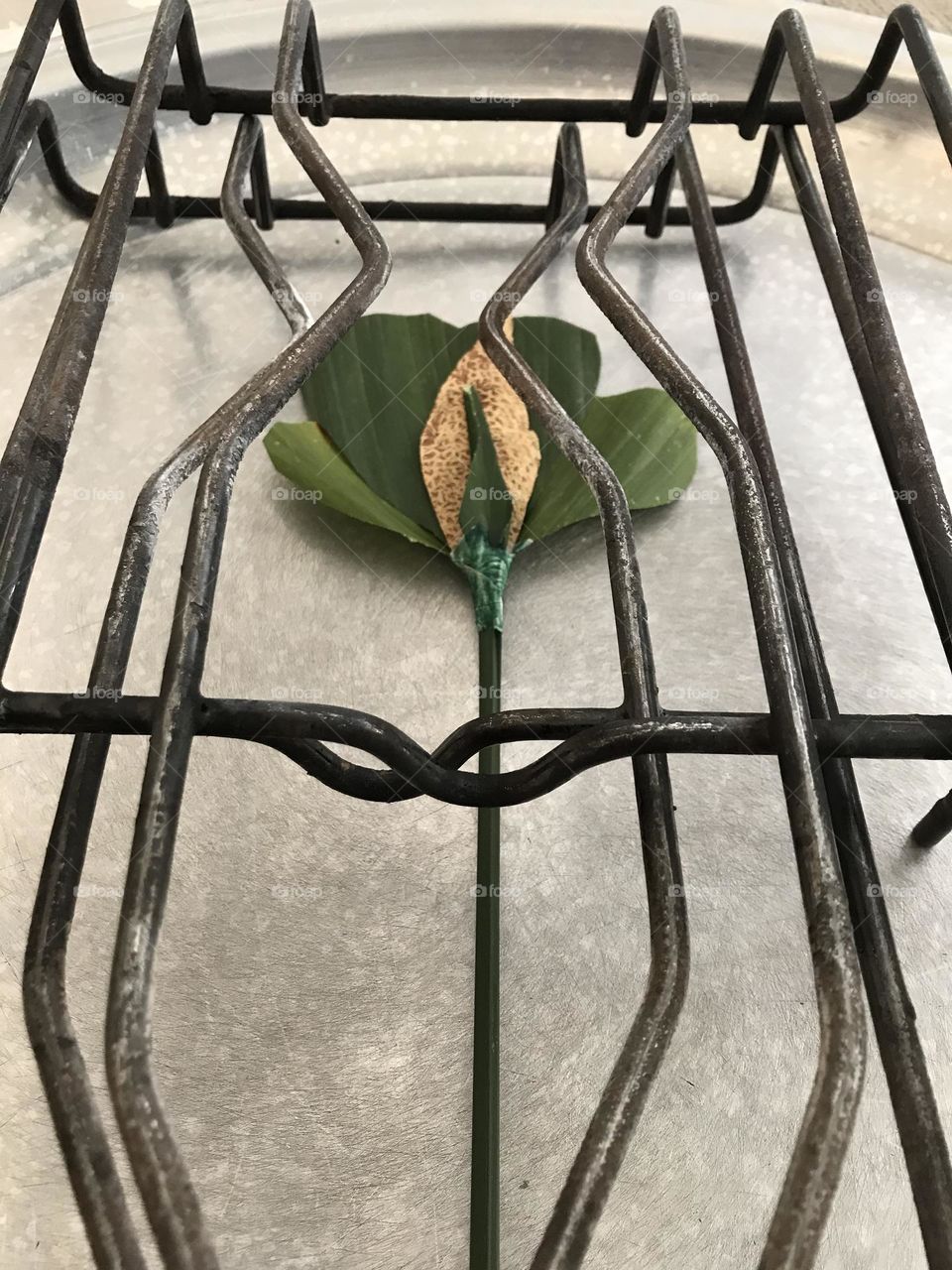 There is no waste in this world. Look around yourself! Making a craft is fun. My craft 😊