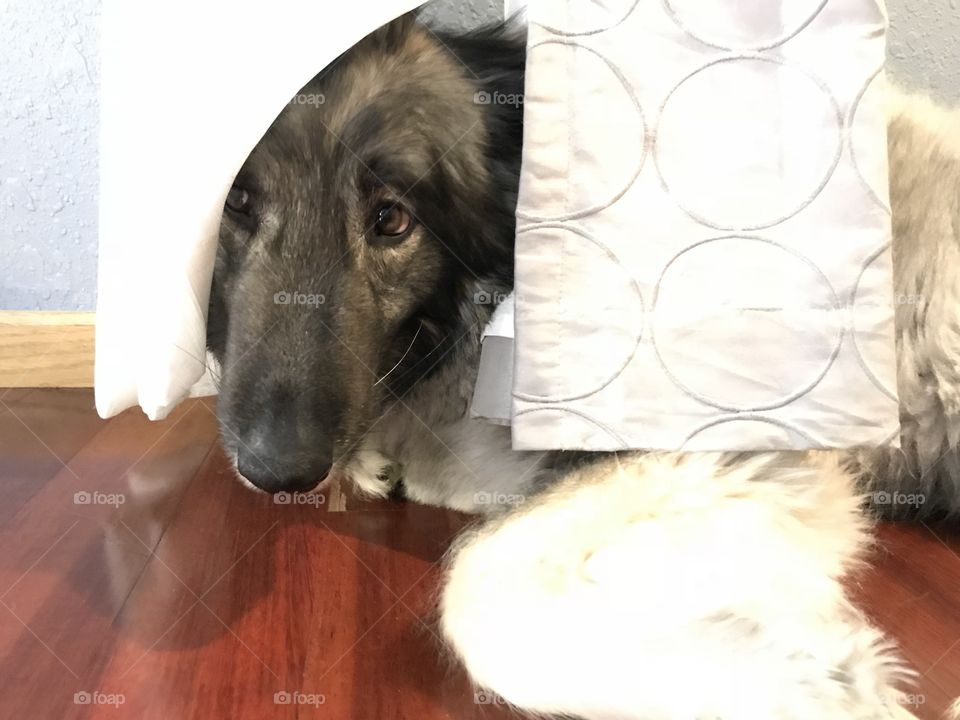 Hide and seek