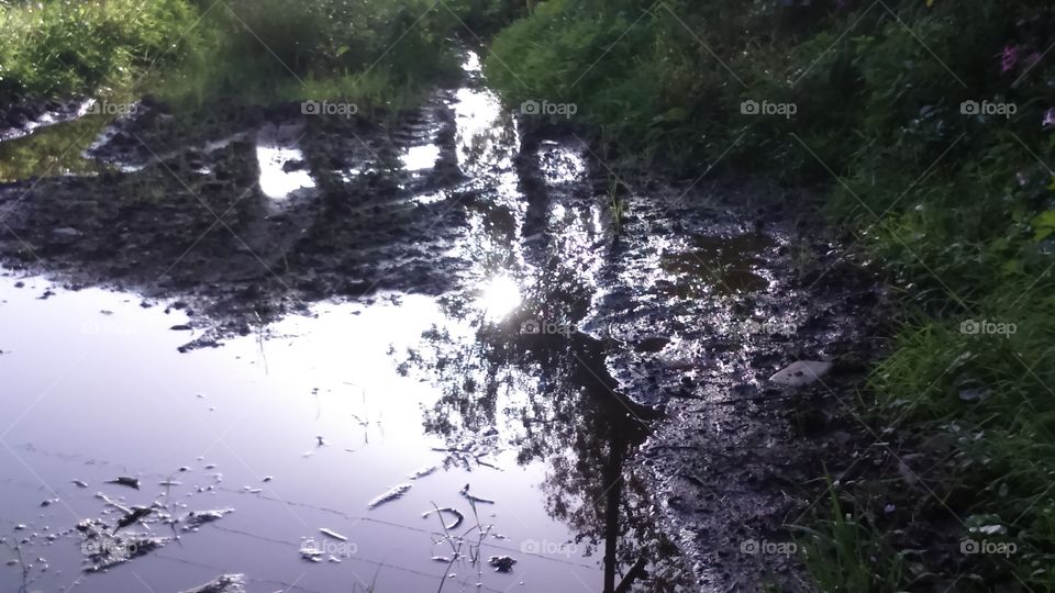 Reflections in a puddle