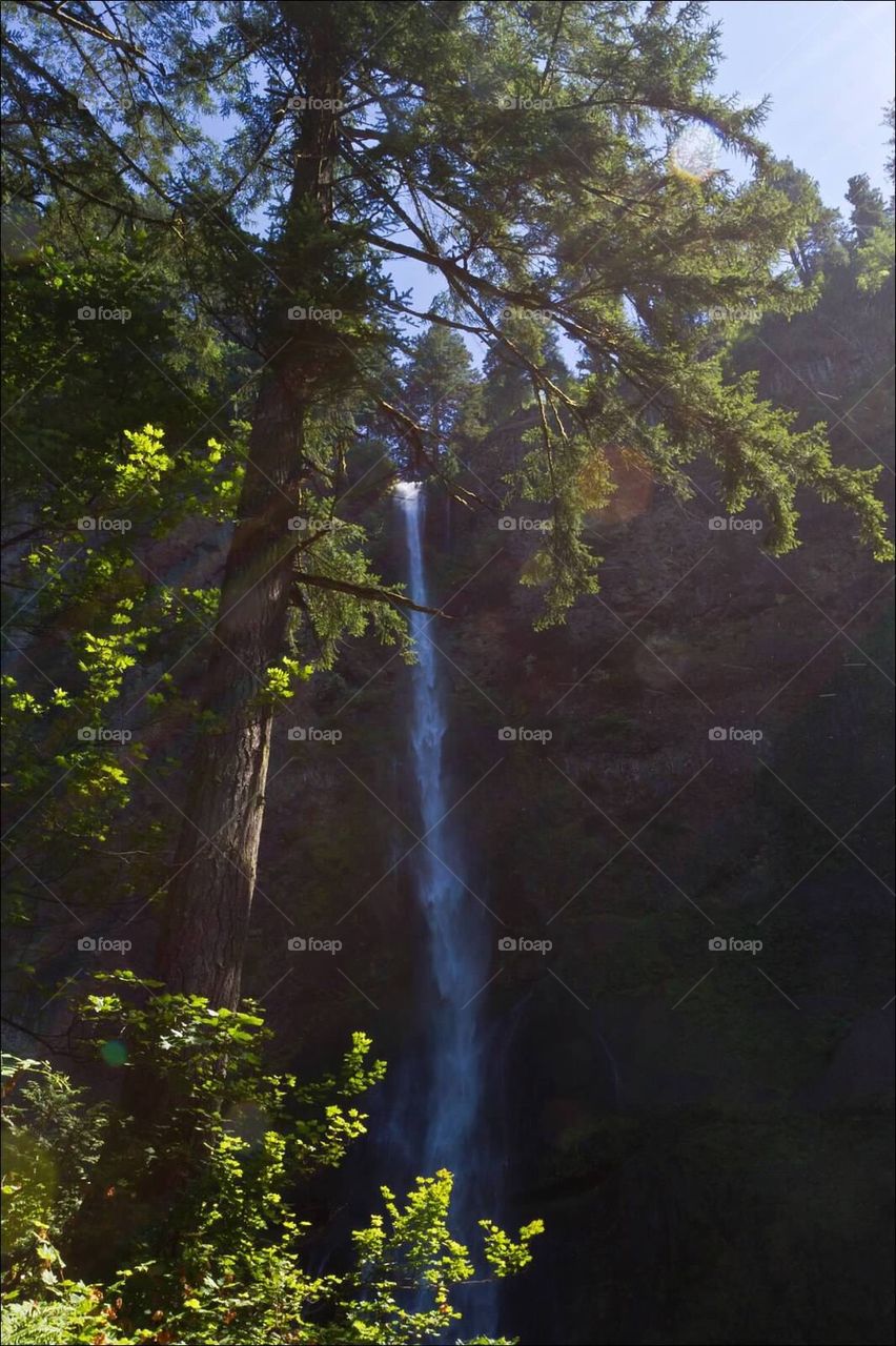 Multnomah Falls