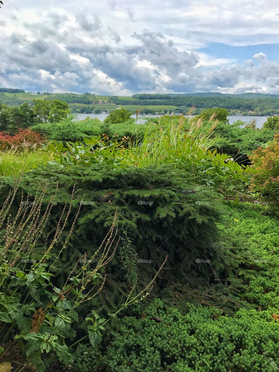 Keuka lake garden view