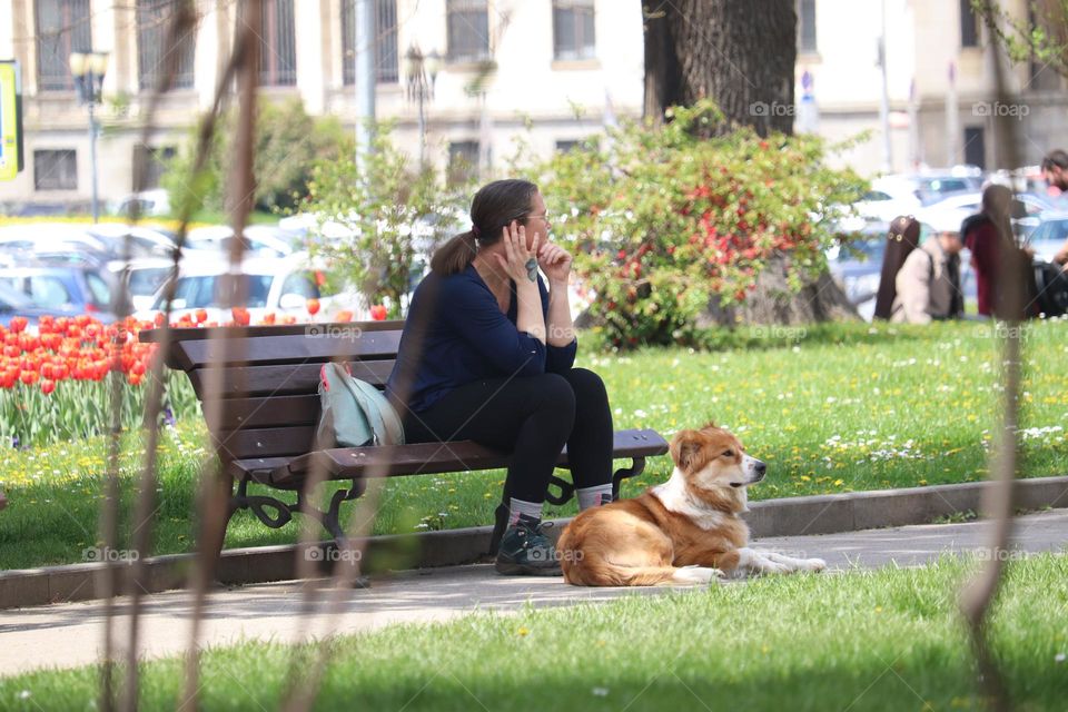 Taking a rest from walking the dog