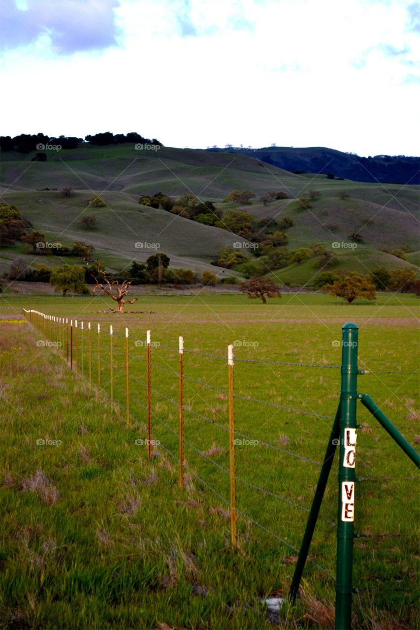 All You Need is Love