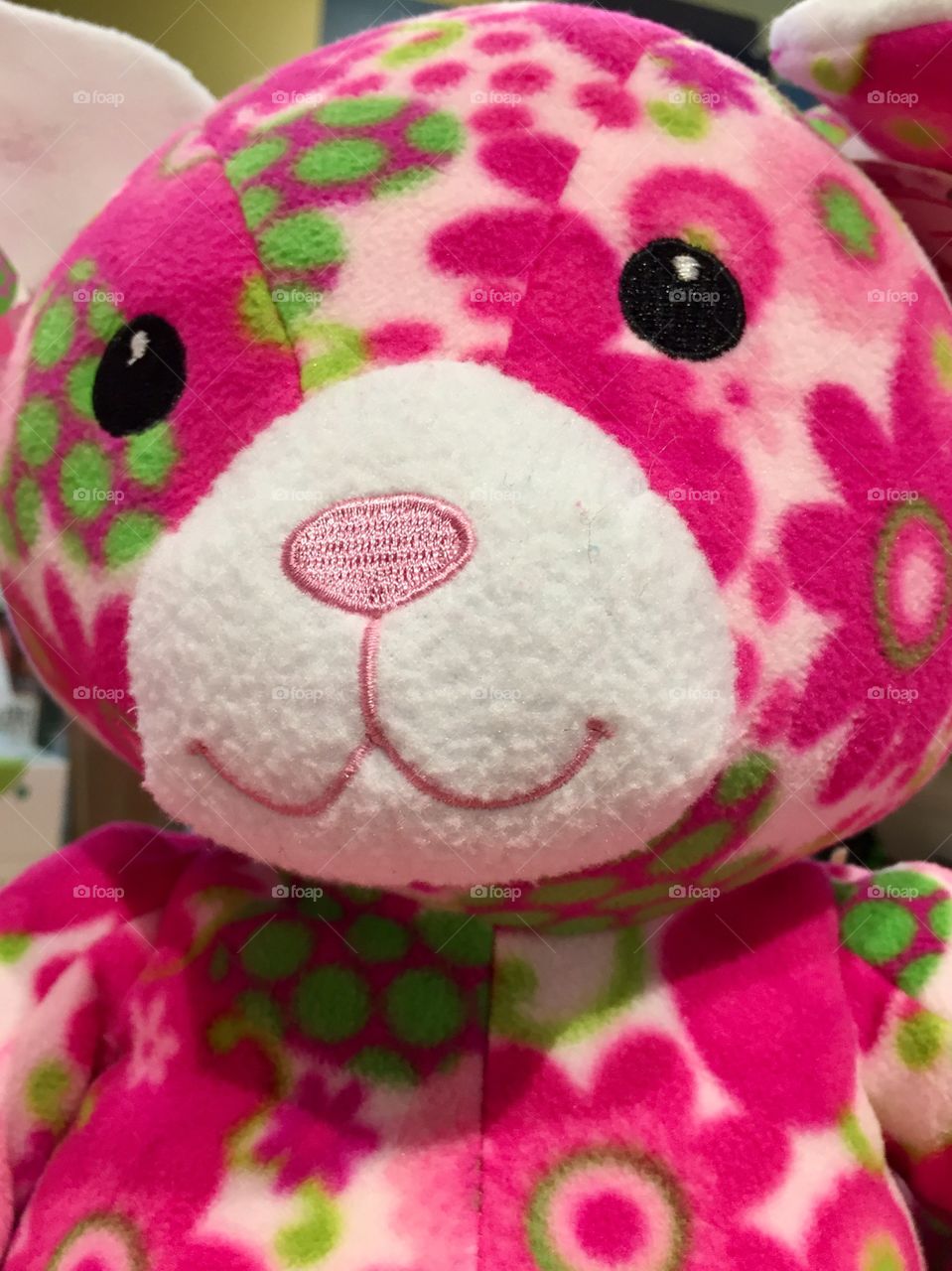 Close up of teddy bear
