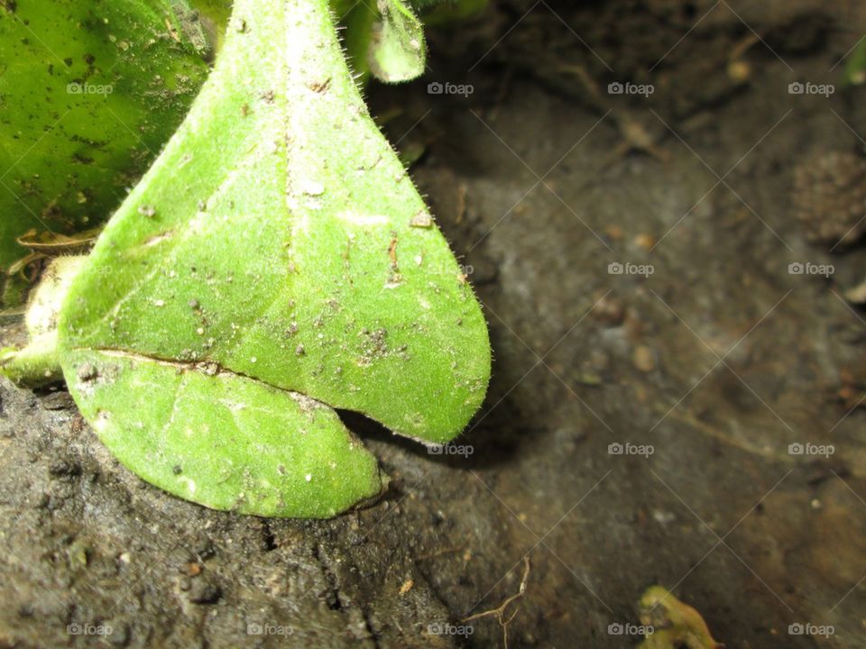 Getting down and dirty