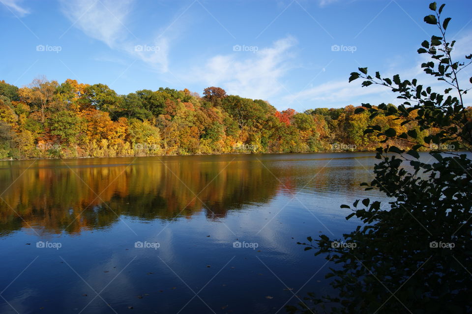 Autumn trees reflected on lake