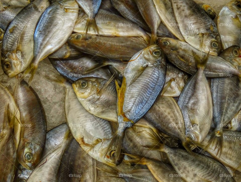 Freshly Caught Fish. Fish On Display At A Chinese Street Market