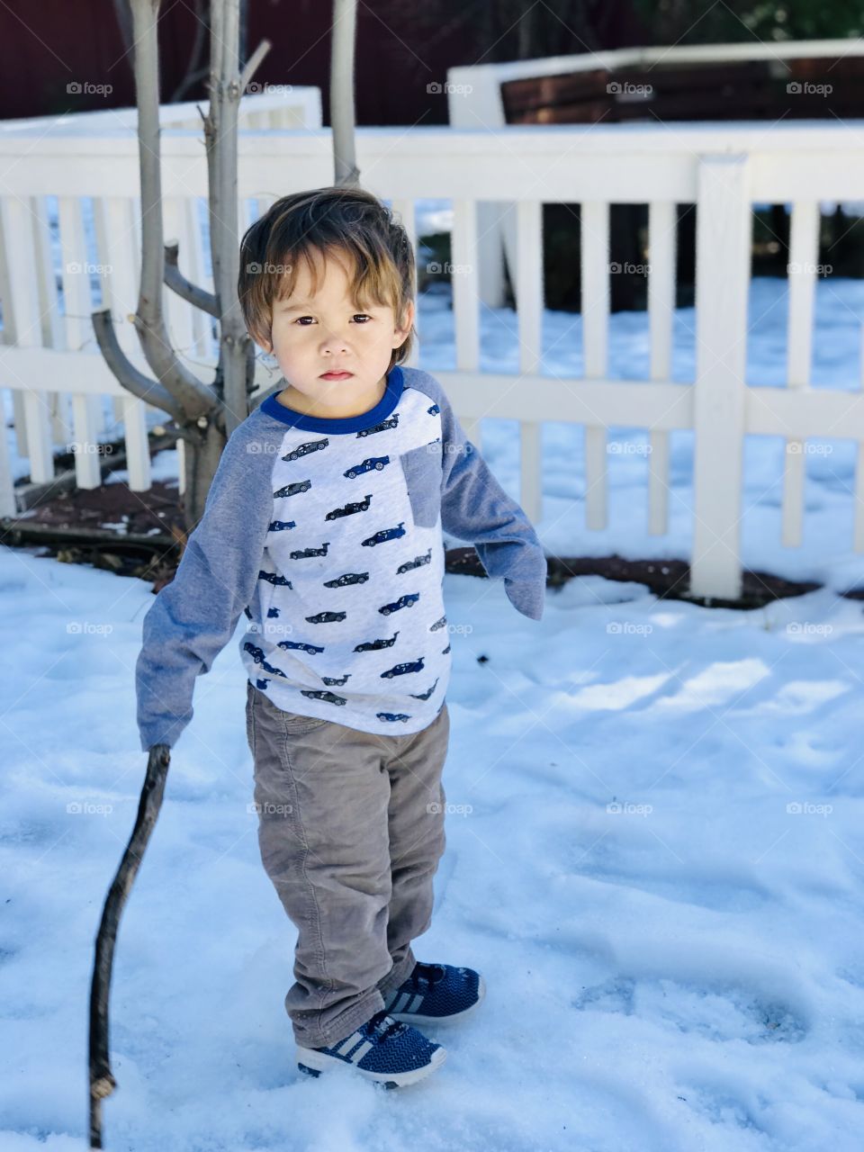 Bud and the stick on the snow day fun. 