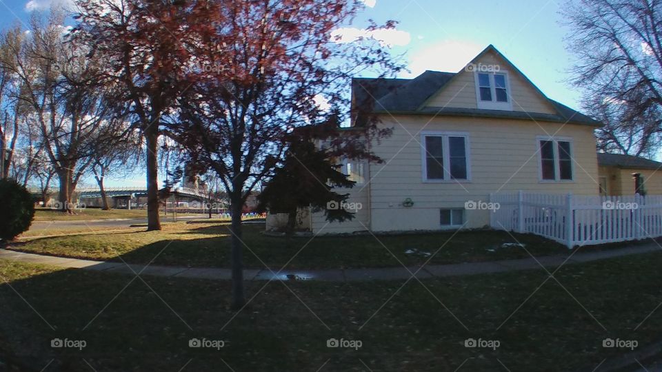 Home, Tree, House, No Person, Lawn