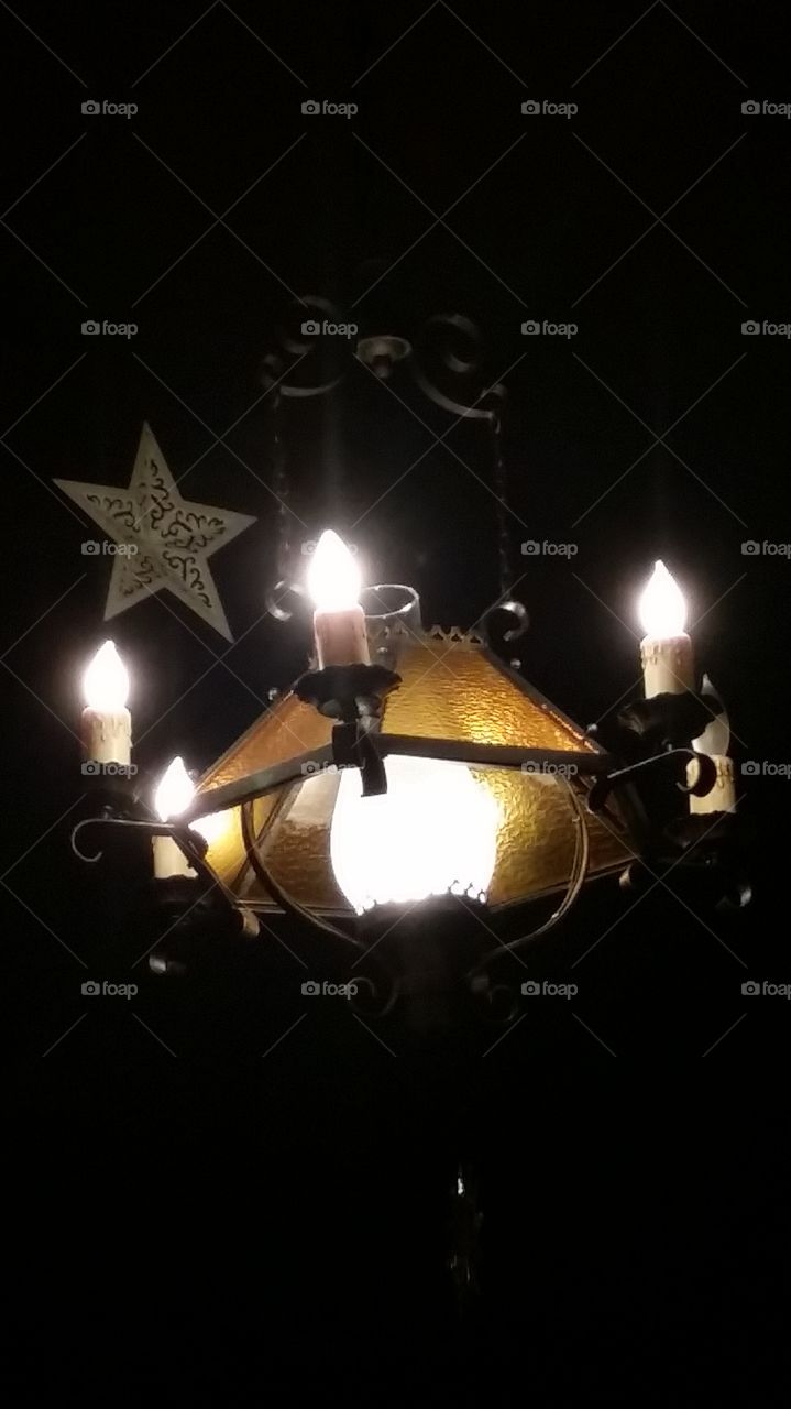 Exotic
 Lamp