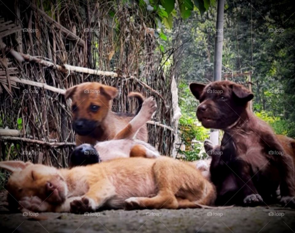 My cuties doing chit-chat on the street 🤗