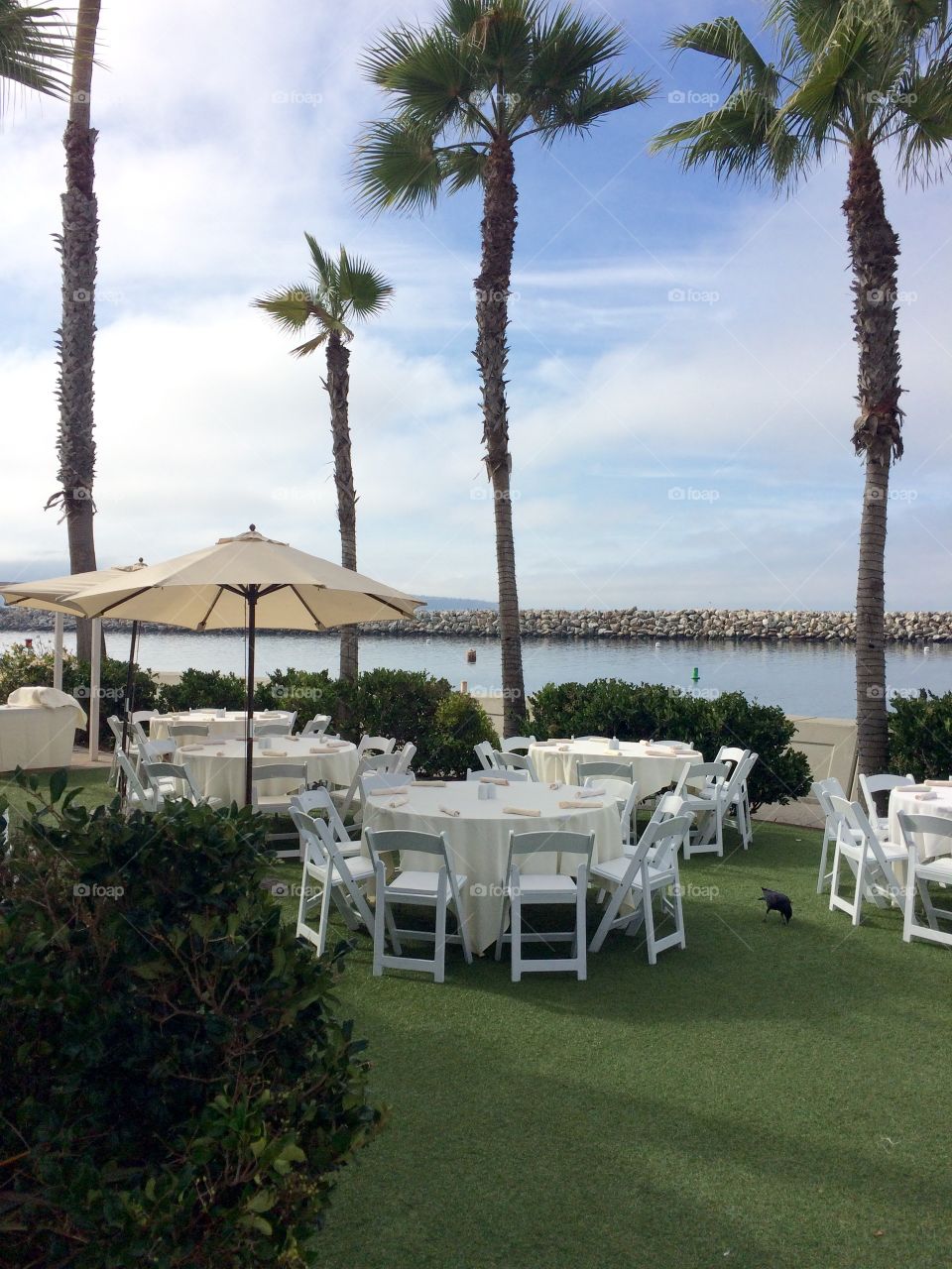 Outdoor Lunch Setup. Taken at the Portofino Hotel in Redondo Beach, California, October 2016.