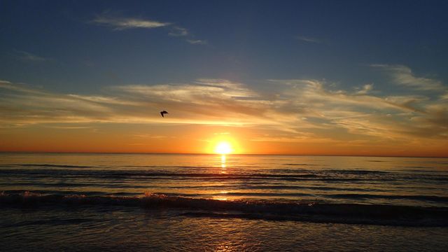 Pelican flying across a stunning fiery sunset with sunny side up sun path reflected on horizon