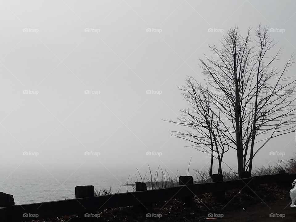 foggy winter beach