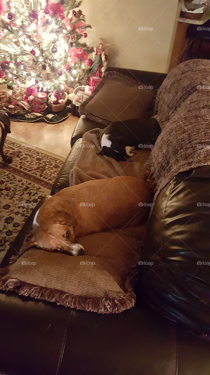 I'm getting nothing for christmas