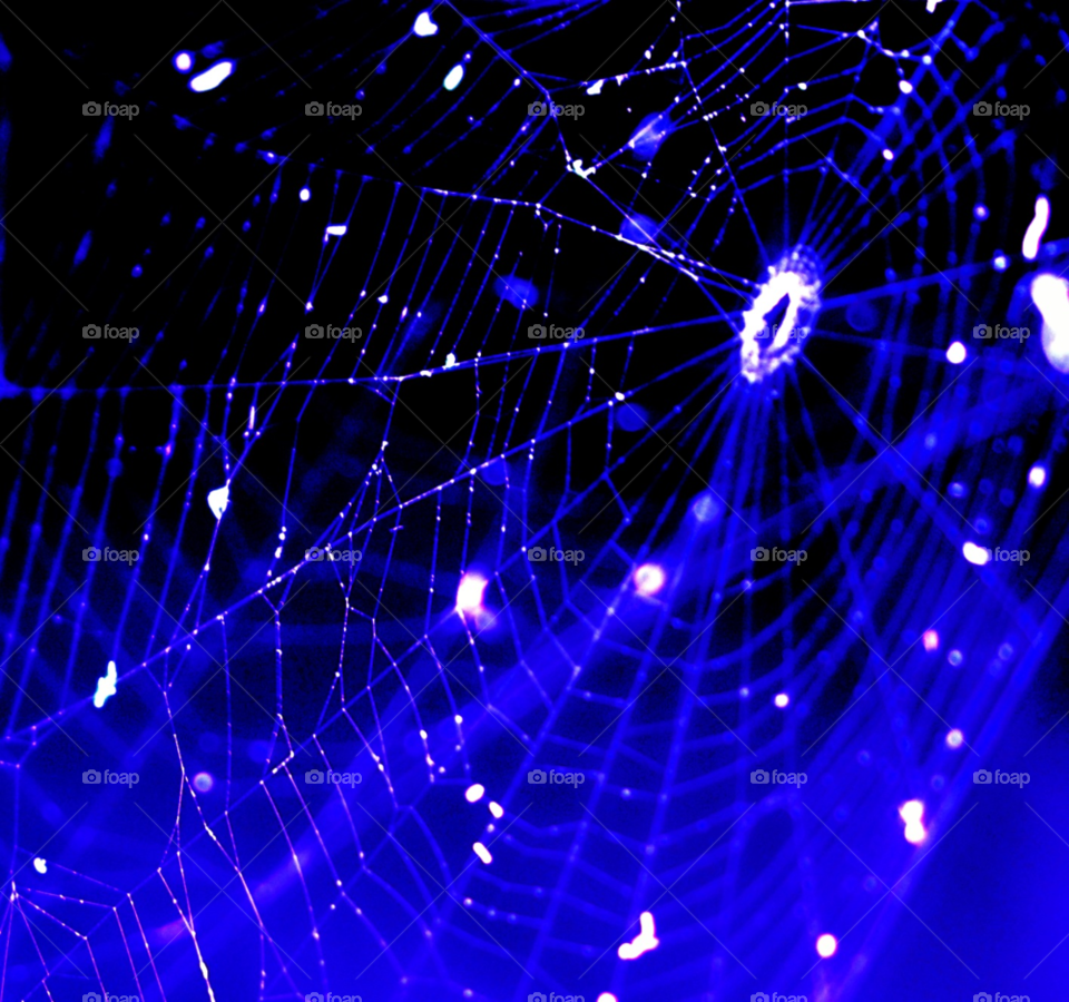 blue night web spider by lightanddrawing