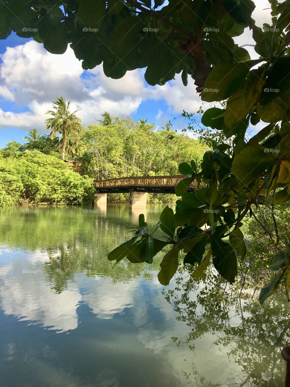 Uma ponte ligando dois lados da Praia. O Rio Maragogi a corta, mas ainda assim é tudo belo. 