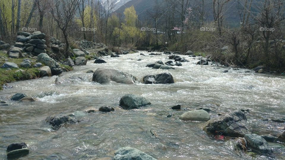 Water, Stream, River, Nature, Rock