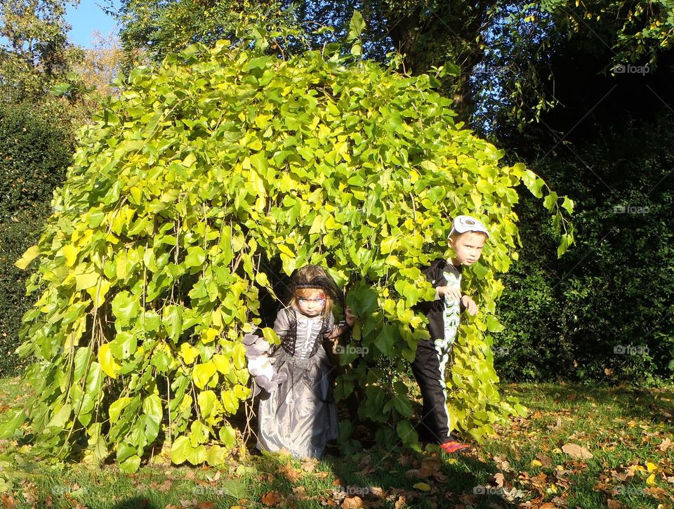 Children in costume playing in plants