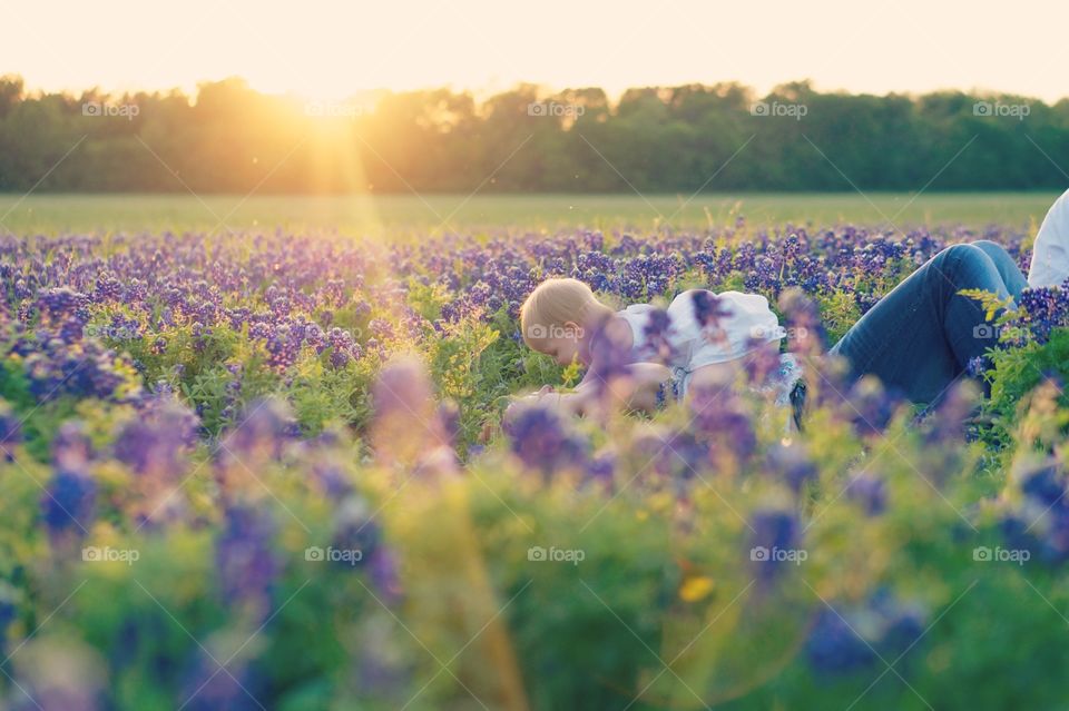 Family enjoying in the field