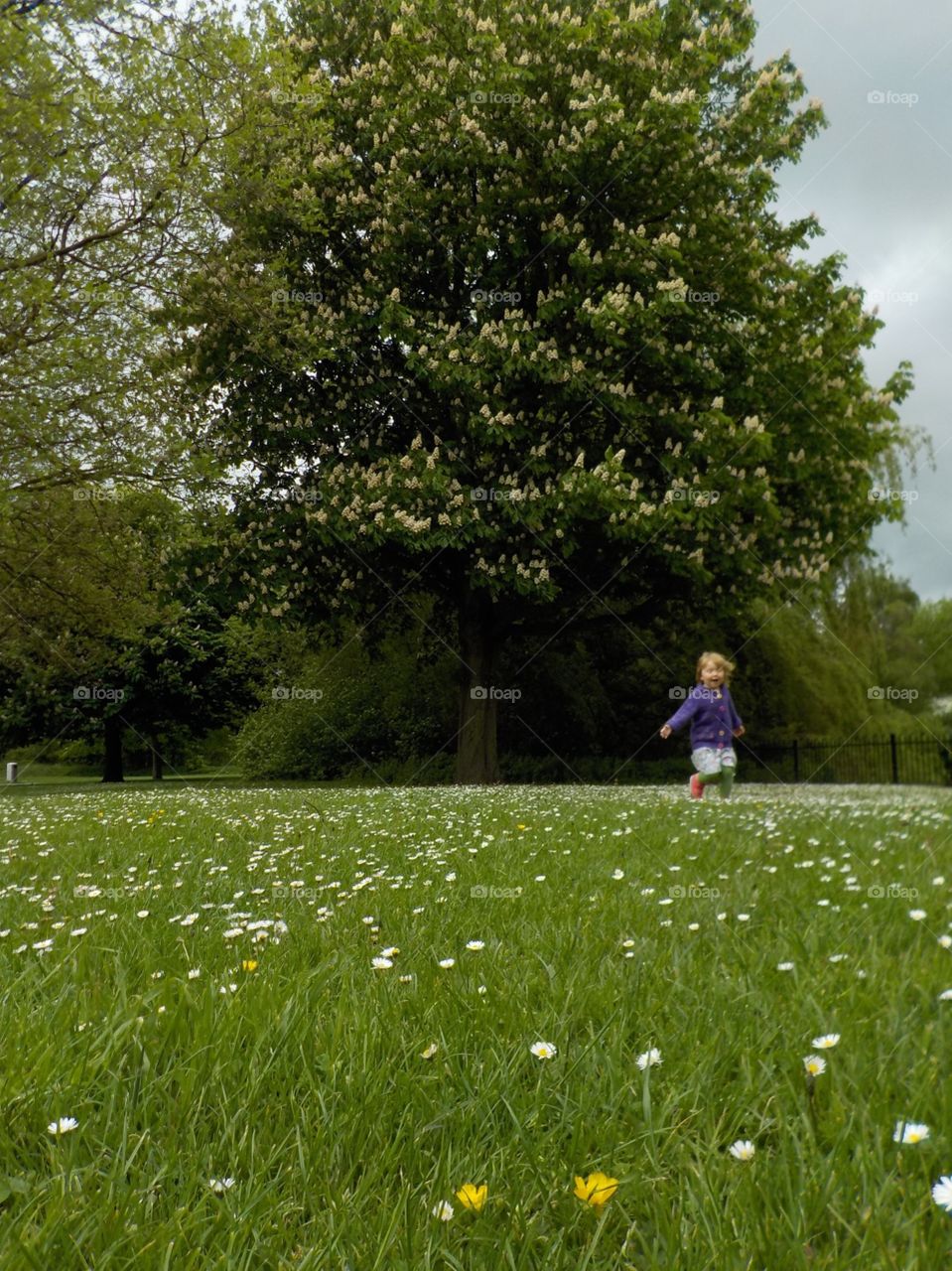 May flowers in UK 