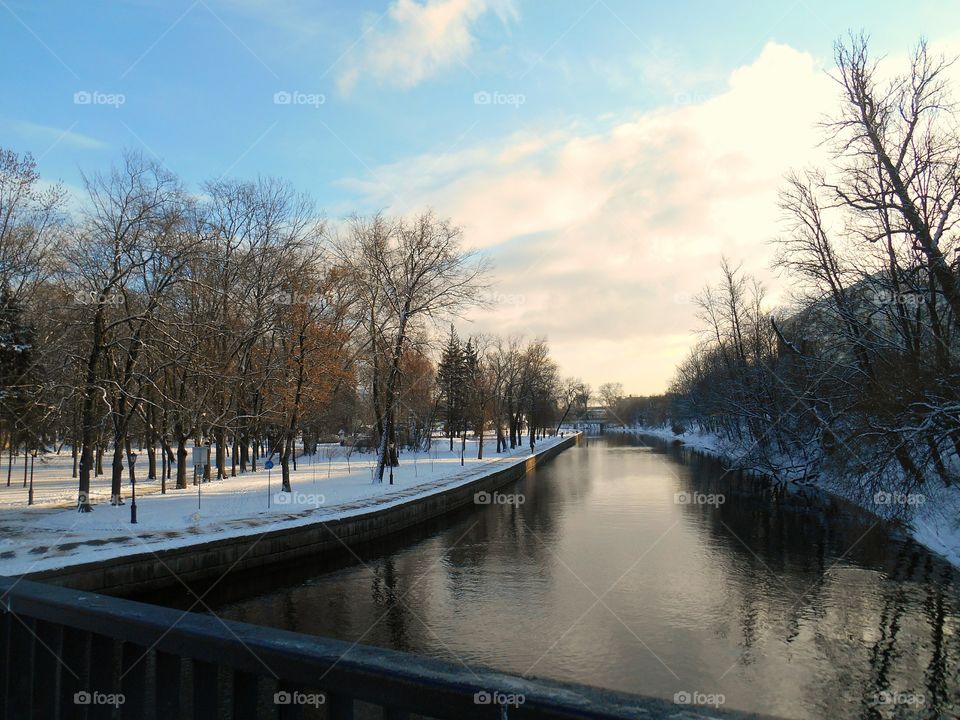 Winter, Snow, Tree, No Person, Water