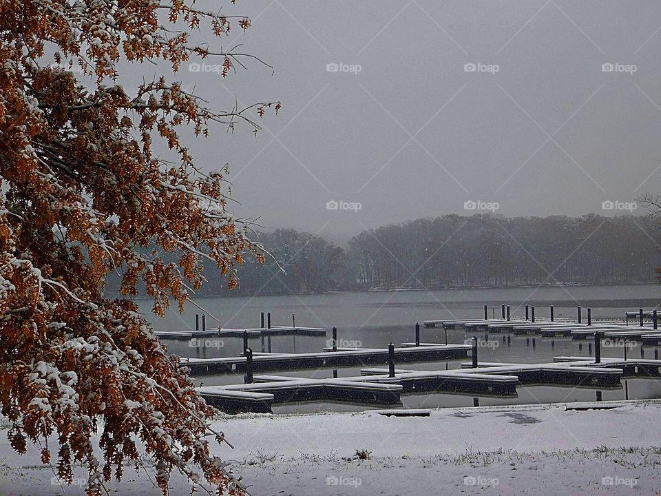 Empty Docks in the Winter 2.0