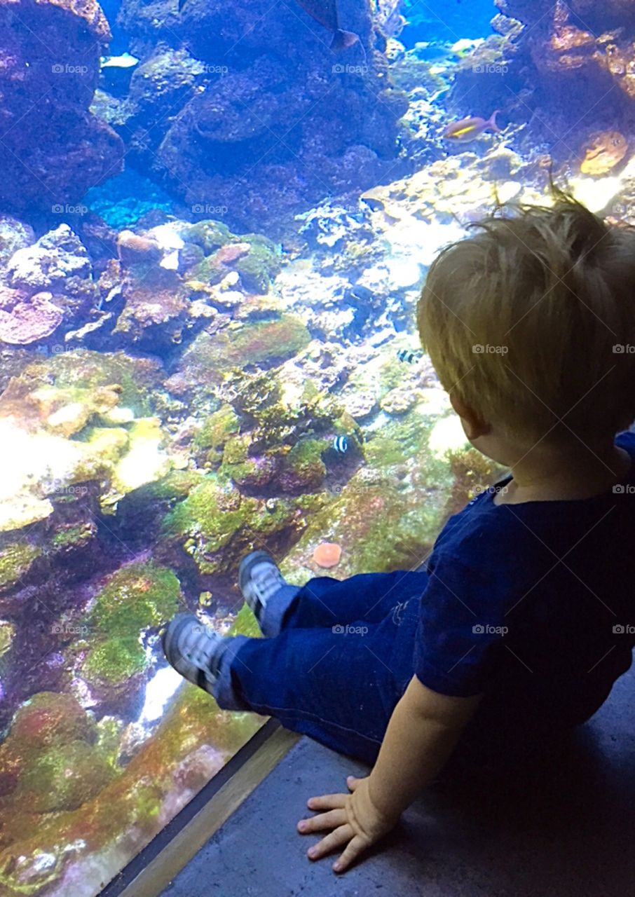Aquarium Watch. 1st time at the aquarium 