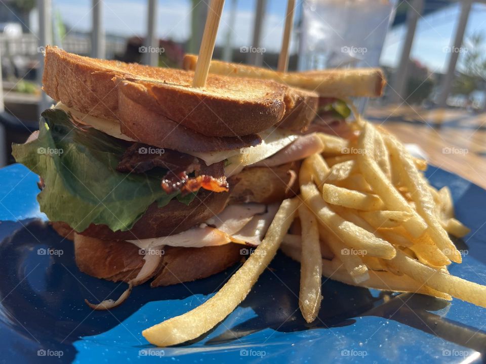 Large sandwich 