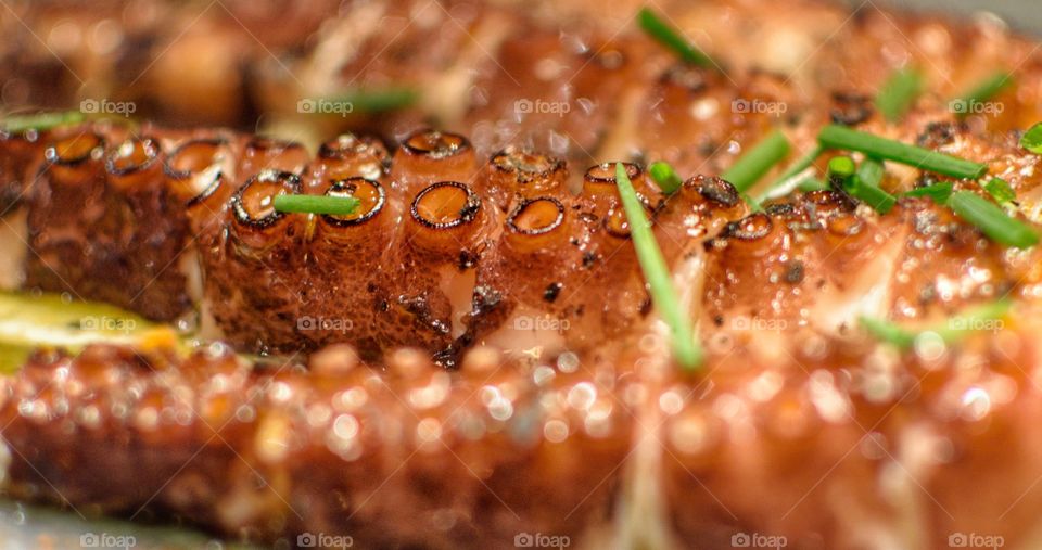 Close up view of barbecued octopus with parsley