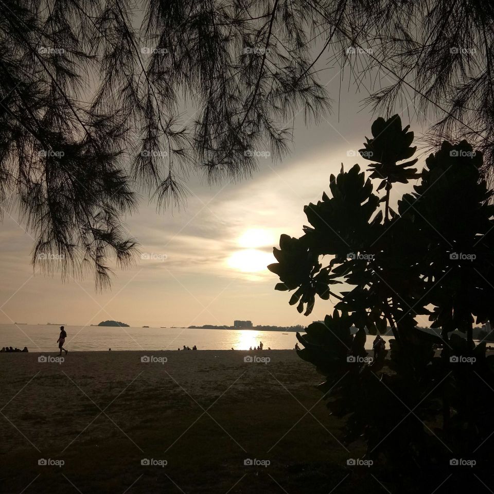 Introducing the crowds