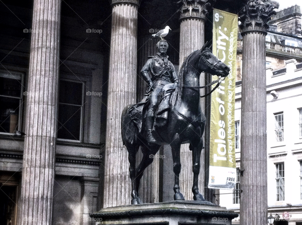 statue seagull glasgow horse statue by bobmca1