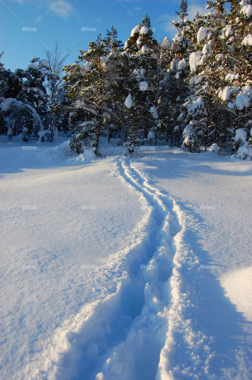 snow winter scotland footprints by eddie.kelly.7