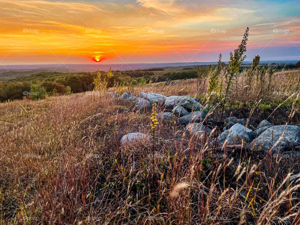 Setting sun over the blueberry barrens.