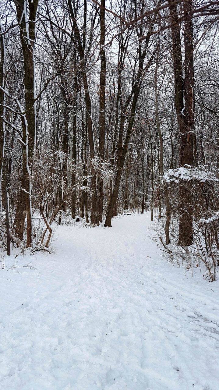 Frozen path.