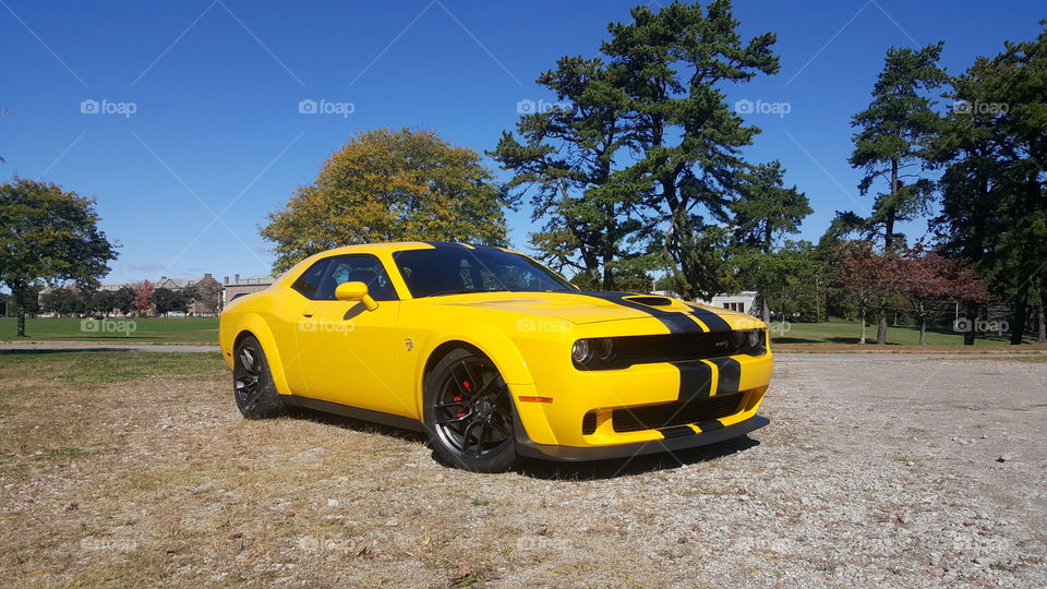 Dodge Challenger SRT Hellcat Widebody