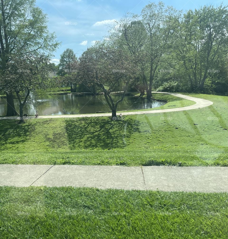 Beautiful Pond View. Peaceful Resting and recreative  place. 