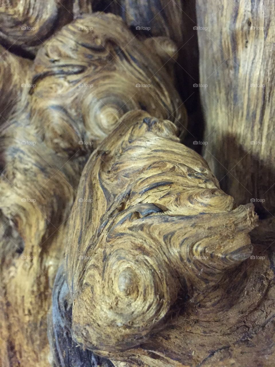 Knotted wood