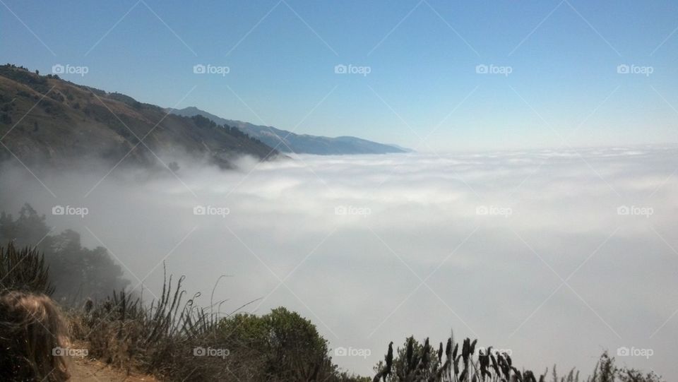 Big Sur Fog