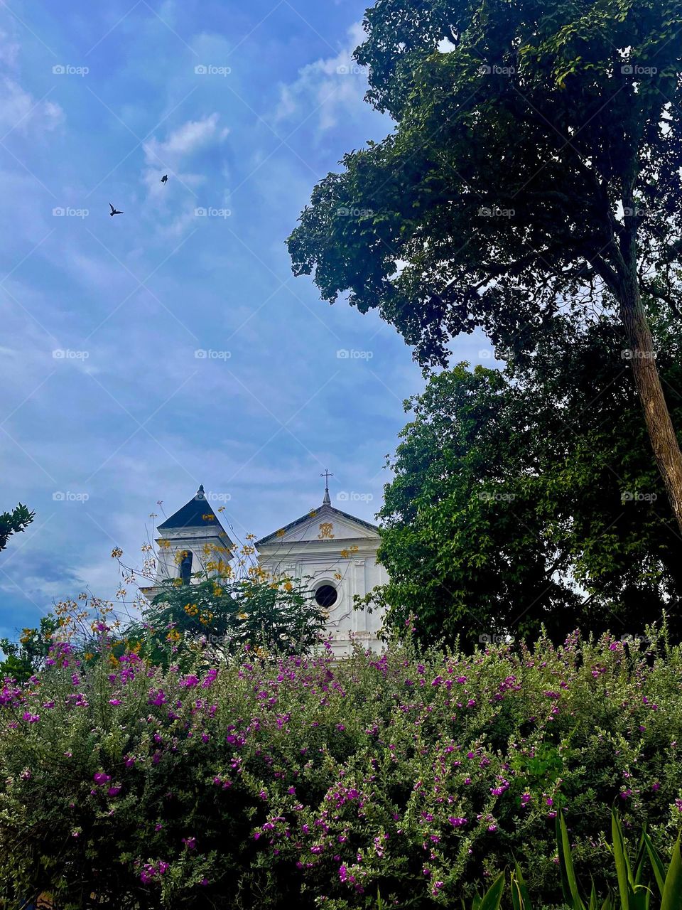 Classical Architecture 