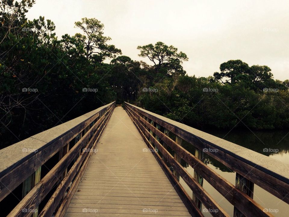 Boardwalk through the forest