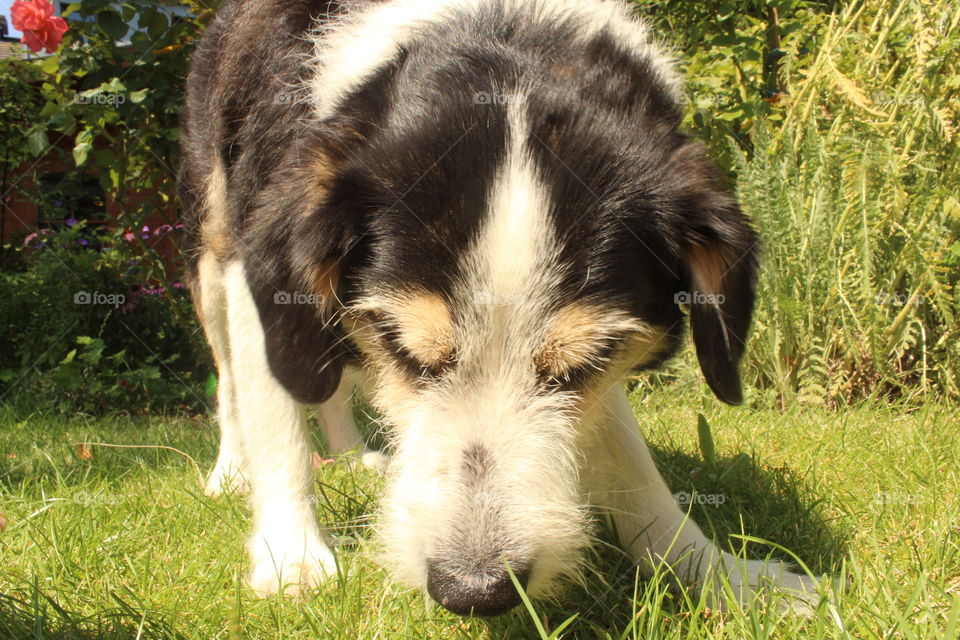 Where is it, where is it...?