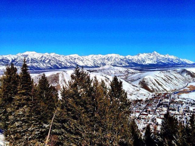 Rockies 